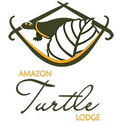 https://www.amazonturtlelodge.com